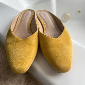Banana Republic - yellow or mustard suede mules, shoes. Size 6.5.